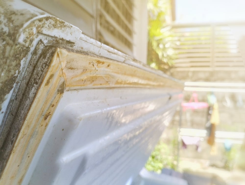 Freezer,Or,Refrigerator,Rubber,Edge,Full,Of,Dirt,.habitat,Of